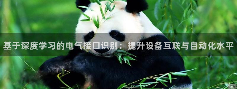 凯发官方:访问凯发.网站