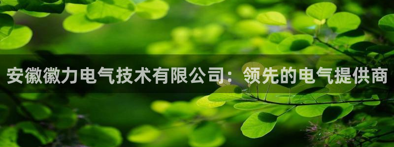 凯发官网手机app：安徽徽力电气技术有限公司：领先