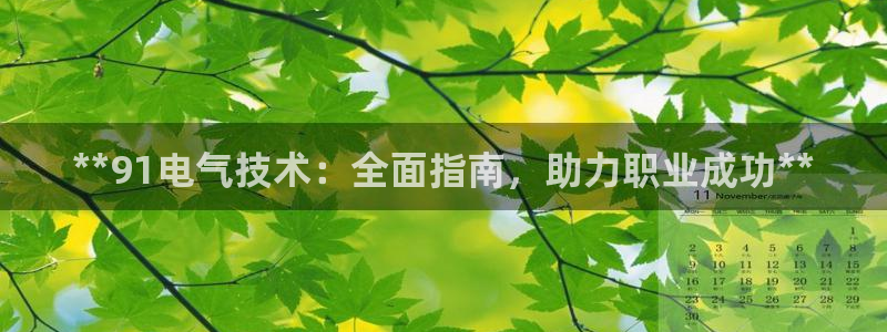 凯发国际怎么赚钱：**91电气技术：全面指南，助力